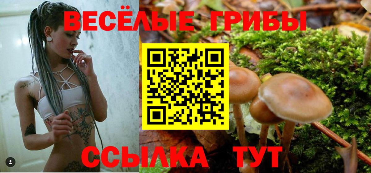Псилоцибиновые грибы MAGIC MUSHROOMS  Вход с VPN  Ржев 